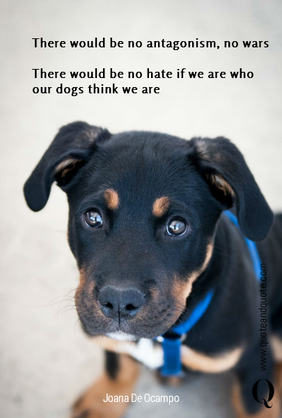 There would be no antagonism, no wars

There would be no hate if we are who our dogs think we are