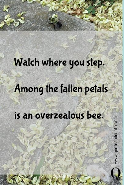 


Watch where you step.

Among the fallen petals

is an overzealous bee.