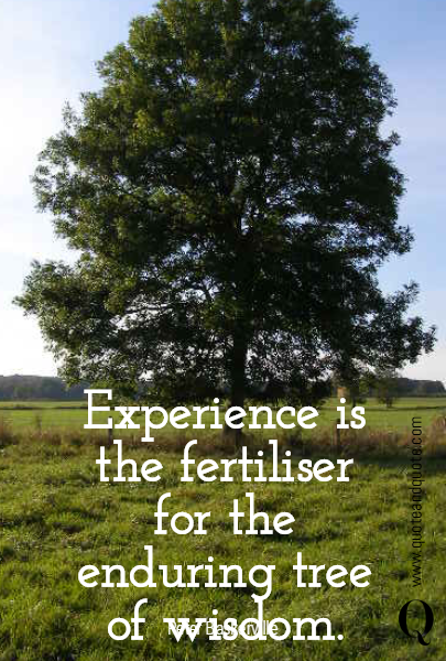 Experience is the fertiliser for the enduring tree of wisdom.