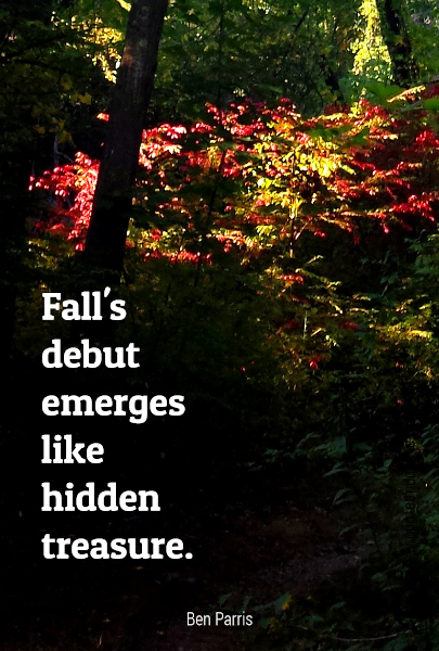 




Fall's
debut
emerges
like
 hidden
treasure.