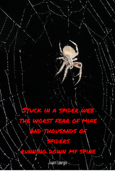 Stuck in a spider web 
the worst fear of mine
and thousands of spiders
running down my spine
